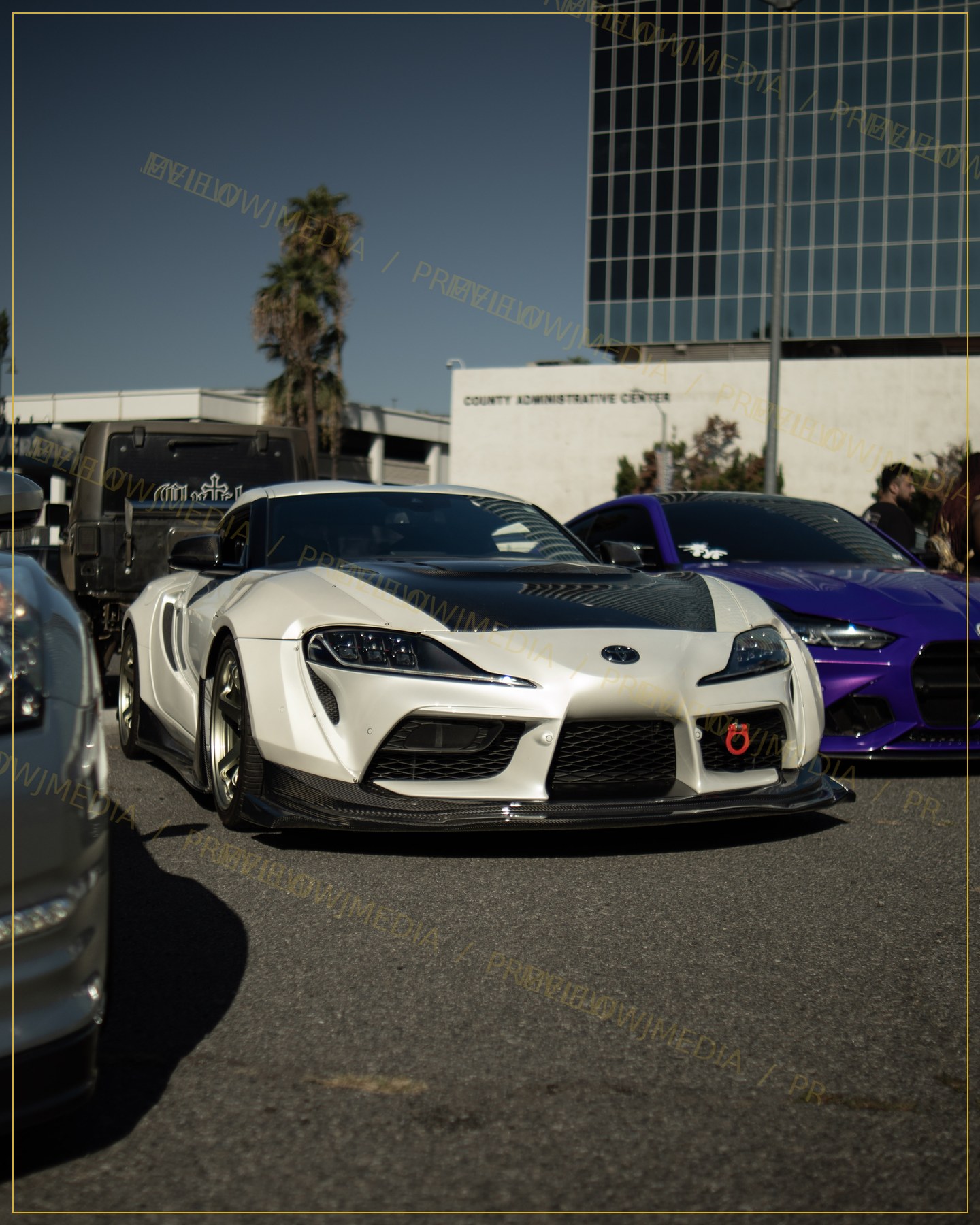 Urban Supra Stance from Riverside Daikoku