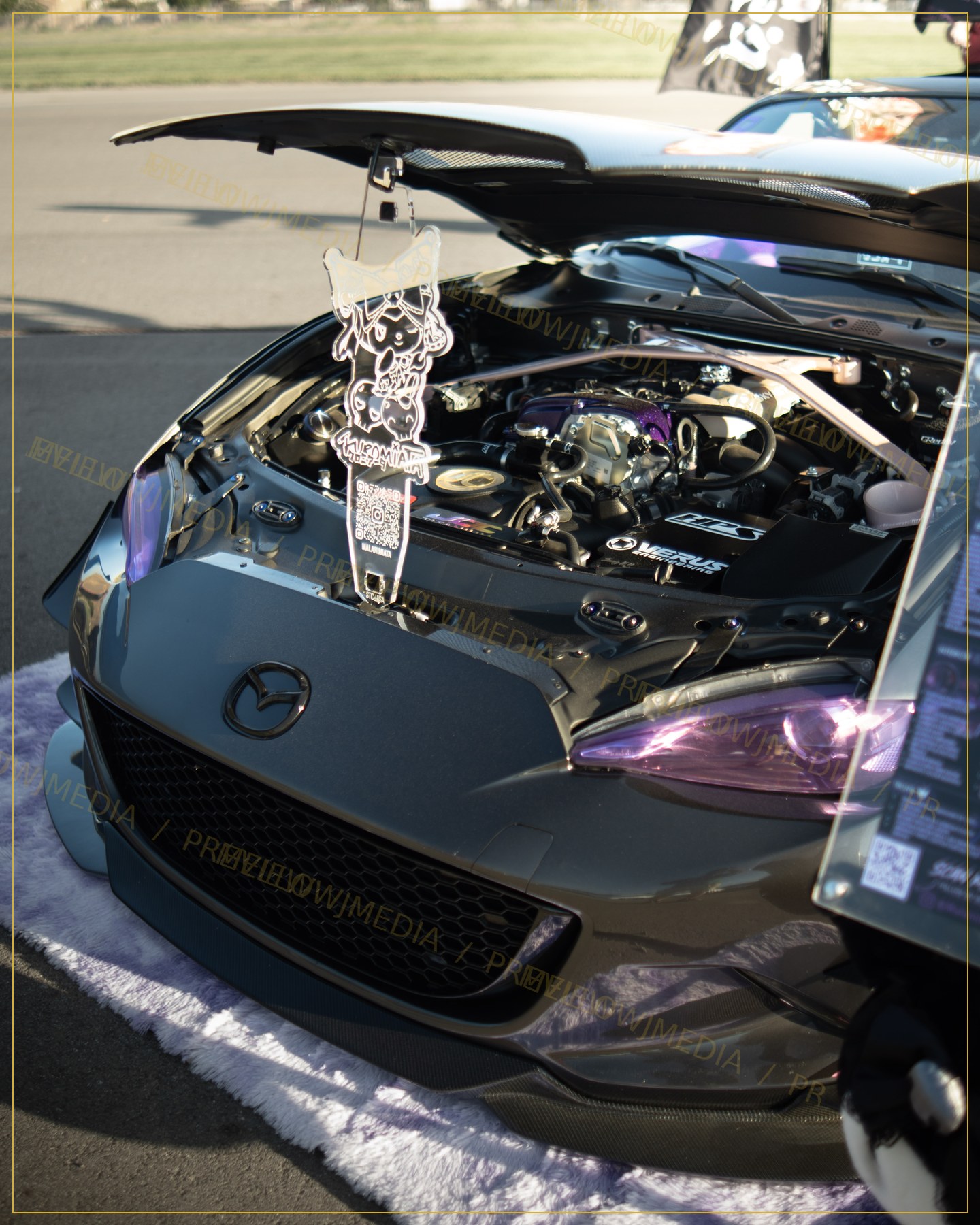 Show Car Reveal watermarked preview