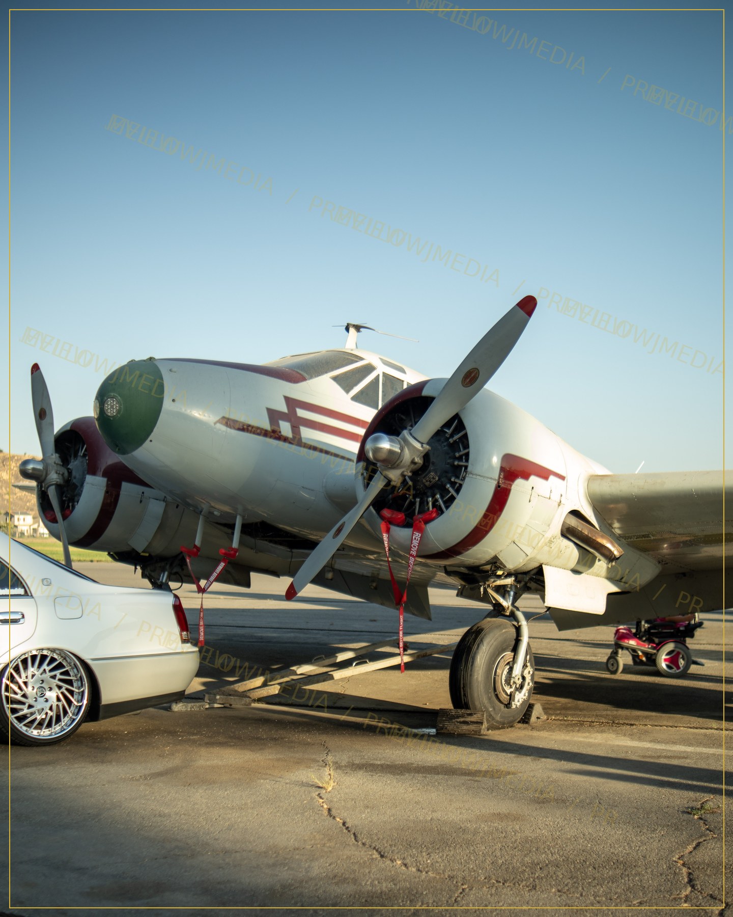 Vintage Wings Resting watermarked preview