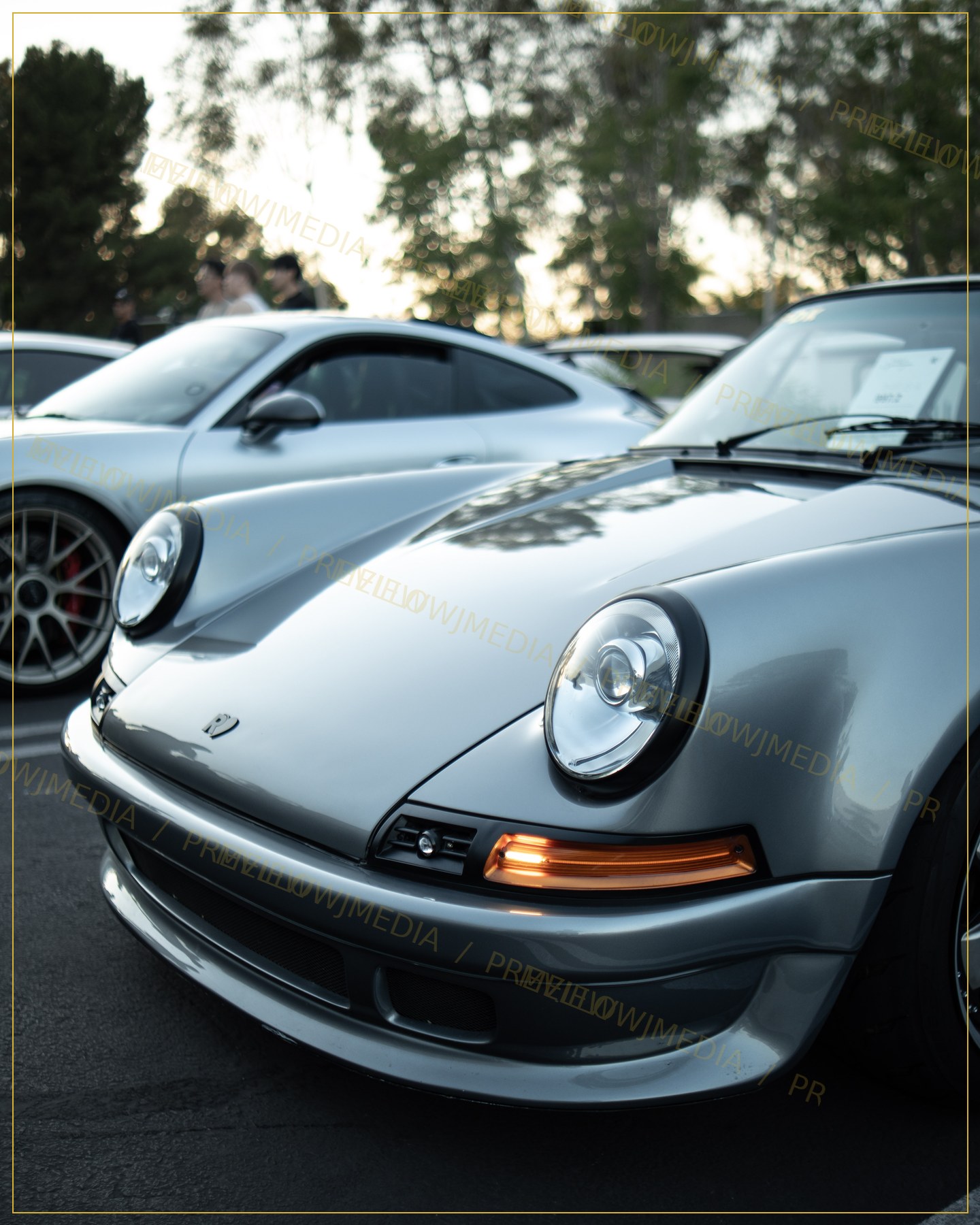 Silver Flat Six watermarked preview
