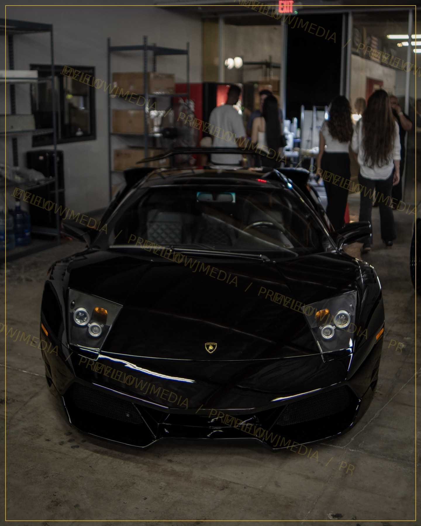 Midnight Bull Arrival watermarked preview