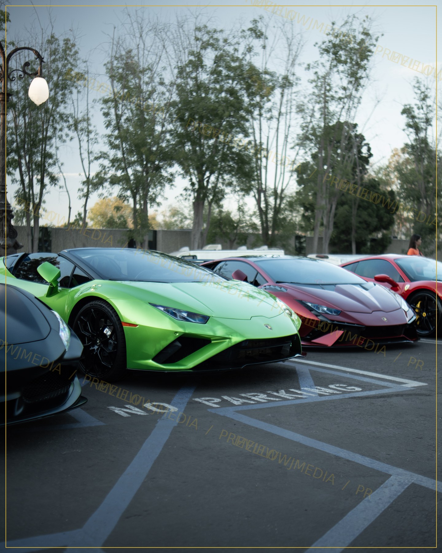 No Parking Exotics watermarked preview